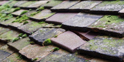 Rhosyn Coch roof repair costs